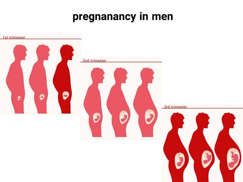 pregnanancy in men