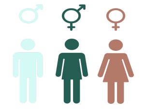 Female to Male gender confirmation